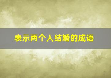 表示两个人结婚的成语