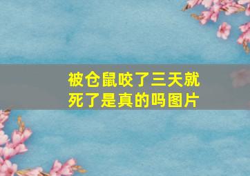 被仓鼠咬了三天就死了是真的吗图片