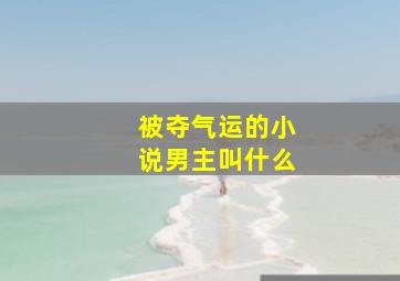 被夺气运的小说男主叫什么