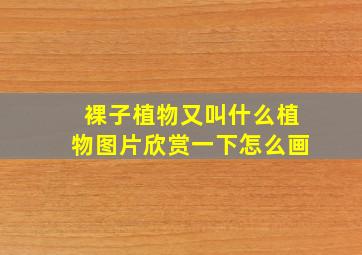 裸子植物又叫什么植物图片欣赏一下怎么画