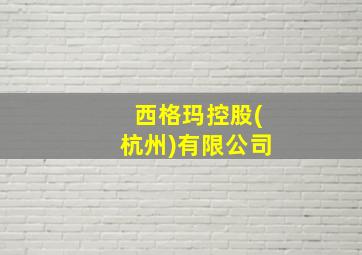 西格玛控股(杭州)有限公司