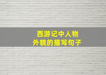 西游记中人物外貌的描写句子