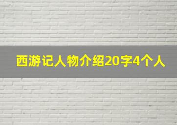 西游记人物介绍20字4个人