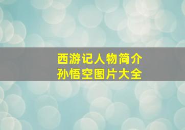 西游记人物简介孙悟空图片大全