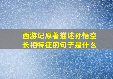 西游记原著描述孙悟空长相特征的句子是什么