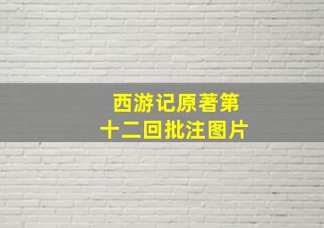 西游记原著第十二回批注图片