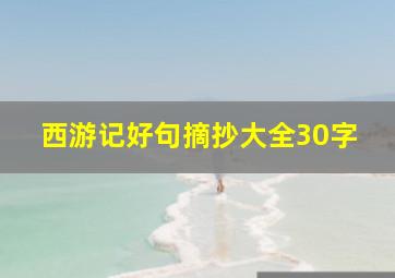 西游记好句摘抄大全30字