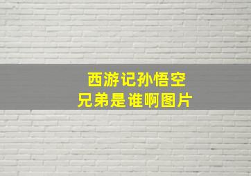 西游记孙悟空兄弟是谁啊图片