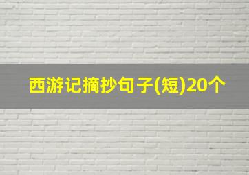 西游记摘抄句子(短)20个