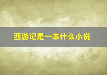 西游记是一本什么小说