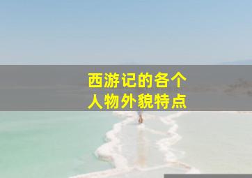 西游记的各个人物外貌特点