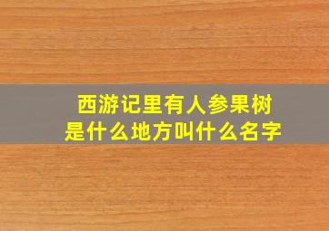 西游记里有人参果树是什么地方叫什么名字