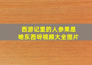 西游记里的人参果是啥东西呀视频大全图片