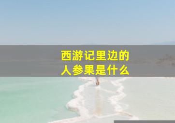 西游记里边的人参果是什么