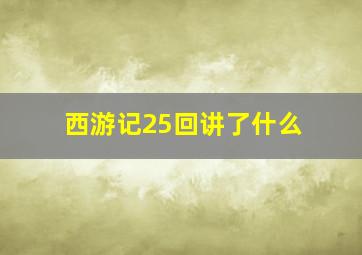 西游记25回讲了什么