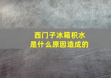 西门子冰箱积水是什么原因造成的