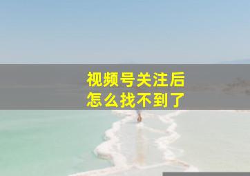 视频号关注后怎么找不到了