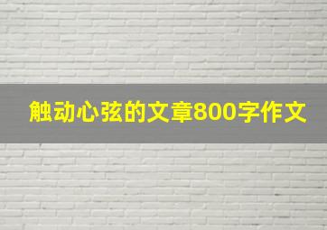 触动心弦的文章800字作文