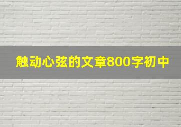 触动心弦的文章800字初中