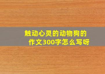 触动心灵的动物狗的作文300字怎么写呀