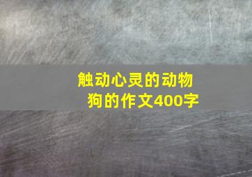 触动心灵的动物狗的作文400字