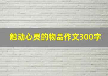 触动心灵的物品作文300字