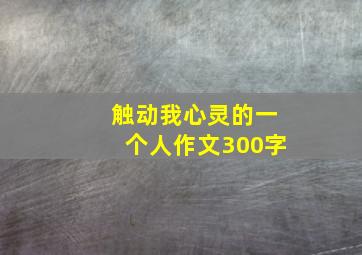 触动我心灵的一个人作文300字