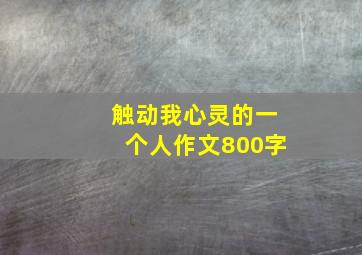 触动我心灵的一个人作文800字