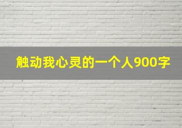 触动我心灵的一个人900字