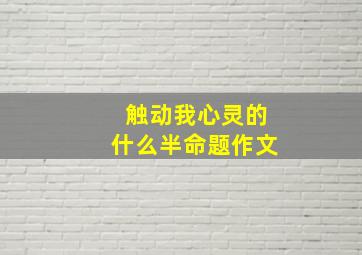 触动我心灵的什么半命题作文