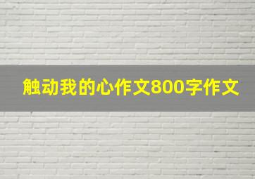 触动我的心作文800字作文