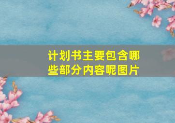 计划书主要包含哪些部分内容呢图片