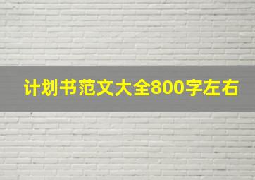 计划书范文大全800字左右