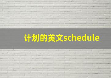 计划的英文schedule