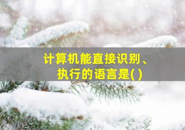 计算机能直接识别、执行的语言是( )