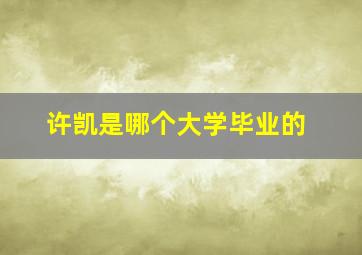 许凯是哪个大学毕业的