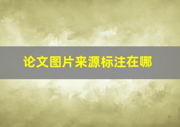 论文图片来源标注在哪