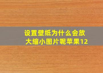 设置壁纸为什么会放大缩小图片呢苹果12