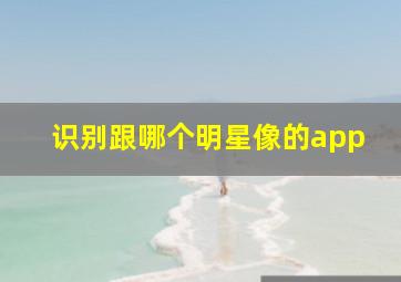 识别跟哪个明星像的app