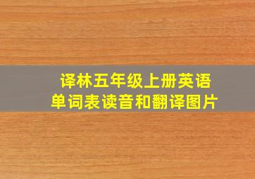 译林五年级上册英语单词表读音和翻译图片