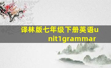 译林版七年级下册英语unit1grammar