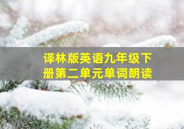 译林版英语九年级下册第二单元单词朗读