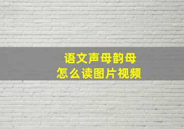 语文声母韵母怎么读图片视频