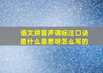 语文拼音声调标注口诀是什么意思呀怎么写的