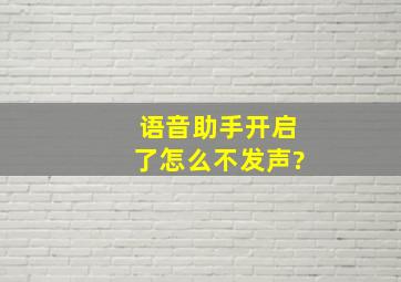 语音助手开启了怎么不发声?