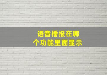 语音播报在哪个功能里面显示