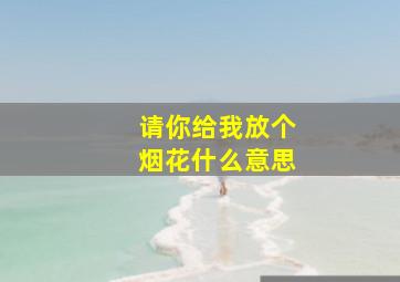 请你给我放个烟花什么意思