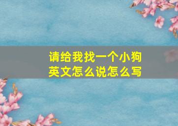 请给我找一个小狗英文怎么说怎么写