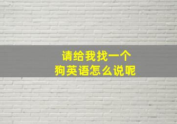 请给我找一个狗英语怎么说呢