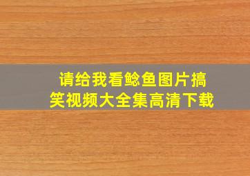 请给我看鲶鱼图片搞笑视频大全集高清下载